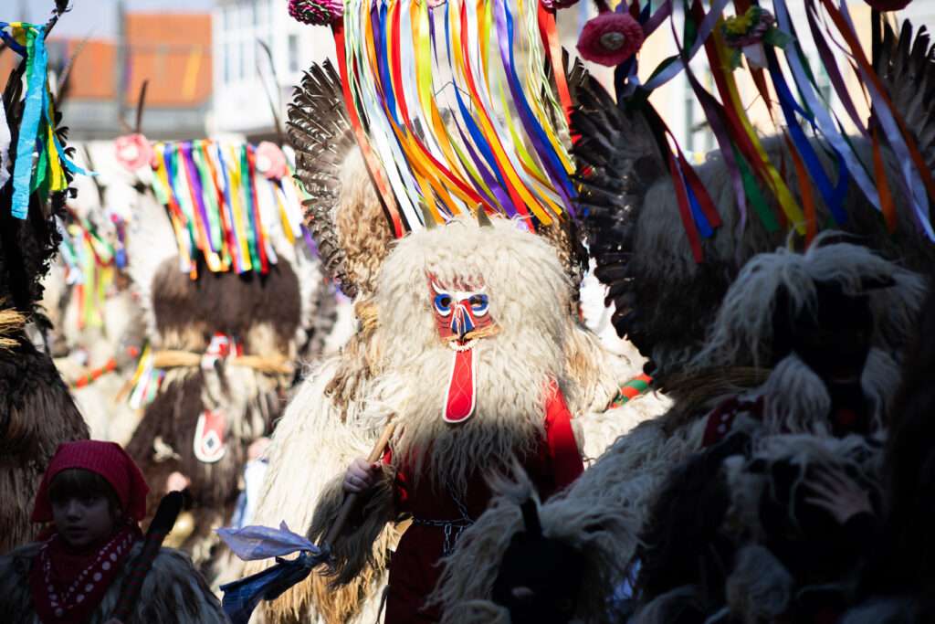 Ptuj-136